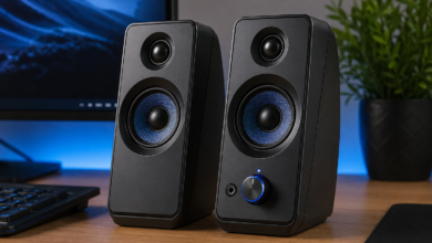 Computer Speakers